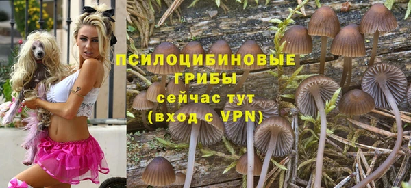 2c-b Магадан