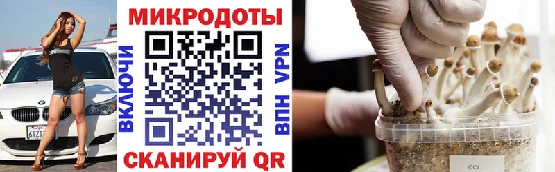 Псилоцибиновые грибы мицелий  Артём 